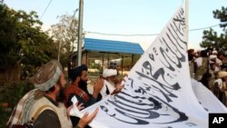 اعضای طالبان در غزنی - ۲۴ مرداد ۱۴۰۰