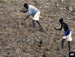 የኮንሶ ገበሬዎች ዘር እየዘሩ [የአሶሽየትድ ፕረስ ፎቶ/AP]