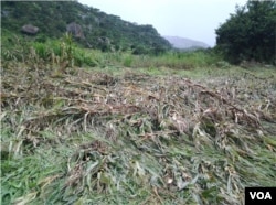 El Nino is normally associated with droughts and floods. (Photo: COMALISA - Coalition for Market and Liberal Solutions)