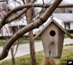 Looks like a birdhouse. But the yappy neighborhood dog is eying it suspiciously.