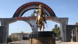 Siidaa Artiisti Haacaaluu Hundeessaa, Yunivarsitii Amboo