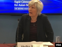 戴维森学院东亚政治教授任雪丽 (美国之音钟辰芳拍摄)