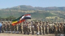 'Waldhaba WBO fi waraana Itoophiyaatti Gujii Bahaatti ummatii hidhaa fi doorsisaan rakkachaa jira'