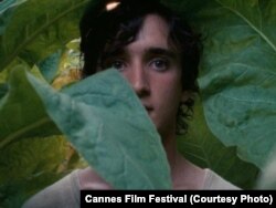 خوشحال مثل لازارو، از آلیس رورواشر، فیلمساز ایتالیائی، شریک جایزه بهترین فیلمنامه با فیلم سه رخ از جعفر پناهی