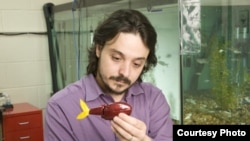 Mechanical engineer Maurizio Porfir holds one of his "robofish" creations in his New York lab. (Polytechnic Institute of New York University)