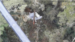 Pesawat Rimbun Air Cargo seri Twin Otter 300 PK-OTW yang hilang kontak dalam penerbangan menuju Intan Jaya, Papua, Rabu (15/9). (Foto: Courtesy/Basarnas)