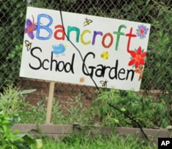 The garden and plantings at Bancroft Elementary School in Washington help prevent polluted runoff from the school yard and parking lot into Rock Creek across the street