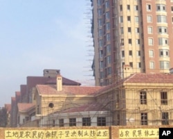 农民的抗议标语