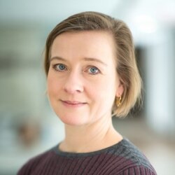 哈德逊研究所高级研究员 奥德加德