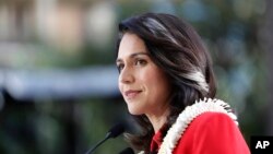 털시 개바드 민주당 하원의원.