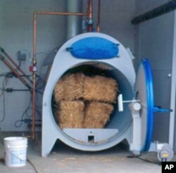 Scientists at Maryland's Agro Ecology Center experiment with switch grass as an alternative bio-fuel to power their operation, hold nutrients in the soil and prevent erosion