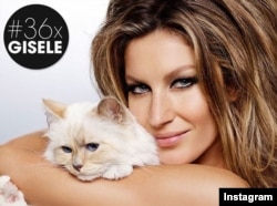 شوپت، گربه اشرافی کارل لاگرفلد و جیزل، مانکن مشهور