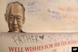 Millətin atası sayılan Li Kuan Yu azad bazar prinsiplərini rəhbər tutaraq Sinqapuru birinci dünya ölkəsinə çevirməyə nail olub.