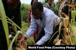 FILE - African Development Bank President Akinwumi Adesina has been awarded the 2017 World Food Prize for his work to improve the lives of millions of small farmers across the Africa.