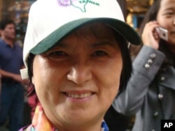 台湾联合国协进会秘书长叶赛莺