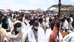 Kora Gumii Gaayoo 41essoo