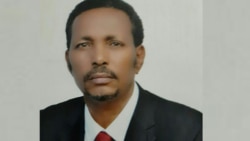 Barreessaa Gaaddisaa Birruu