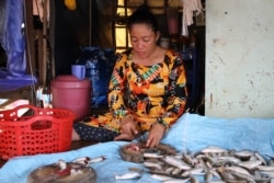 អ្នកស្រី យ៉ា រ៉យ៉ាន​ ពលរដ្ឋ​ម្នាក់​ដែលប្រកបមុខ​របរ​នេសាទ​ កំពុង​អង្គុយ​ធ្វើ​ត្រីរៀលនៅ​ខាង​មុខផ្ទះ​ក្បែរ​មាត់​ទន្លេ​ក្នុង​សង្កាត់​ជ្រោ​យ​ចង្វារ រាជធានី​ភ្នំពេញ នៅ​ថ្ងៃ​ទី​២២ ខែ​ឧសភា ឆ្នាំ​២០២១។​ (កាន់ វិច្ឆិកា/វីអូអេ)