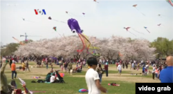 Layangan berbentuk ubur-ubur ikut menghiasi langit Washington DC saat penyelenggaraan festival layang-layang, 30 Maret 2019. (Foto: video grab/VOA)