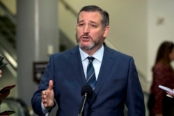 资料照：美国会参议员克鲁兹