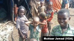 Qubattoni wagga sagal dura Godinoota Harargee irra buqa'anii Godina Bunnoo Baddalee Aanaa Dhedheesaa qubatan