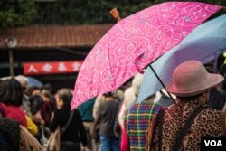 申请者人数众多但井然有序，大家耐心地排队等候。（美国之音记者方正拍摄）