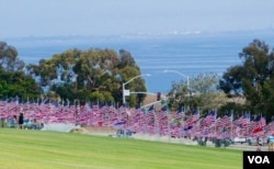 旗海面对平静的太平洋（美国之音国符拍摄）