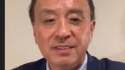 旅美华裔公益活动人士王平 （资料照片）