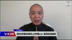 资料照：独立时评人鲁难在接受美国之音卫视的采访。