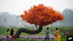 在北京郊区的雾霾中，游客在“希望树”旁照相。许多人希望中国改善环境，消除雾霾