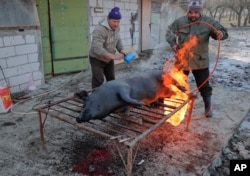 A man uses a gas burner to clean the skin of a a freshly slaughtered pig of hair in Dambu, Romania, Dec. 8, 2016. Romanians will vote in parliamentary elections on Dec. 11.