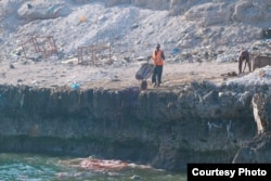 A market worker dumps discarded fish scraps into the water at Secundo Lido Beach in Hamarweyne, the oldest district in Somalia's capital, Mogadishu. (Courtesy - Jamal Ali)