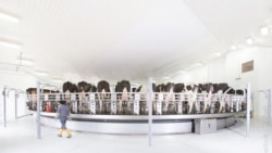 威斯康辛州的一家农场（Joe Meyer提供）