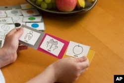 Harvard researchers decided to look for abnormalities, not in the functional structures of the brain, but in the circuitry that links them together.