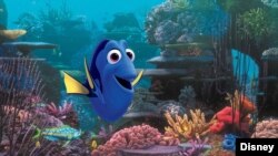 فیلم یافتن دوری از واحد پیکسار شرکت دیزنی، زنان را بیشتر از مردان به خود جلب کرد