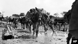 Italo-Abyssinian War 1935