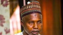 Hon. Tanko Sununu, Shugaban Kwamitin majalisar wakilai kan kiwon lafiya