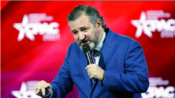 共和党联邦参议员克鲁兹（Sen. Ted Cruz, R-TX）