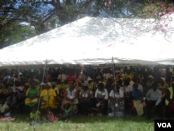 Some of the people who attended Thursday's 21st February Movement mini-carnival in Masvingo. (Photo: Gandri Maramba)