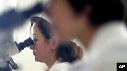 지난 5월 북한 평양의 한 병원 연구실에서 의료진이 현미경을 사용하고 있다. (자료사진)