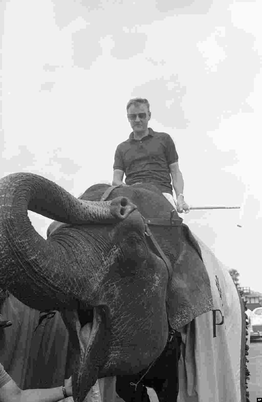 布热津斯基骑大象