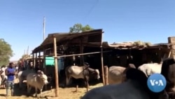 የገና ገበያ - ድሬዳዋ