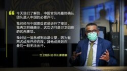 时事大家谈：北京终于批准WHO入境，新冠源头调查为何如此艰难？