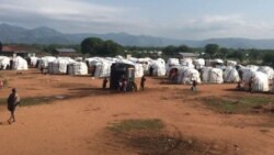 የሶሎሎ ስደተኞች