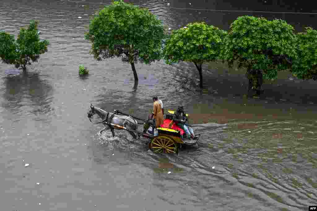 파키스탄 펀자브주의 라호르에서 한 남성이 홍수로 물에 잠긴 도로 위로 마차를 몰고 있다. 