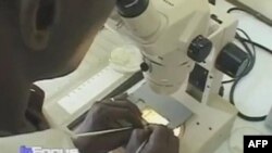 Malyariya xəstəliyi səbəbindən ölənlərin sayı təxminlərdən daha çoxdur