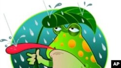 Rain စကားလုံးဆိုင်ရာ အီဒီယံအသုံးအနှုန်းများ