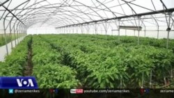 Pasojat e COVID-19 mbi bujqësinë në Kosovë