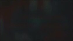 Брифінг Голосу Америки.