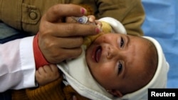 Seorang petugas kesehatan melakukan vaksinasi polio terhadap seorang bayi di kota Damaskus, Suriah (20/11). UNICEF berencana melakukan imunisasi polio terhadap 24 juta balita di Timur Tengah. 